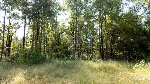 2380 213 Country Rd, Grenada, MS 38901 photo 15