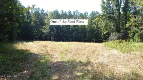 2380 213 Country Rd, Grenada, MS 38901 photo 23