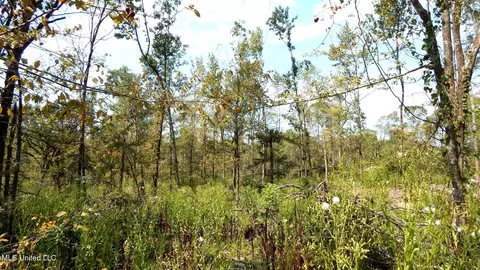 2380 213 Country Rd, Grenada, MS 38901 photo 9