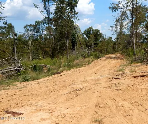 2380 213 Country Rd, Grenada, MS 38901 photo 32