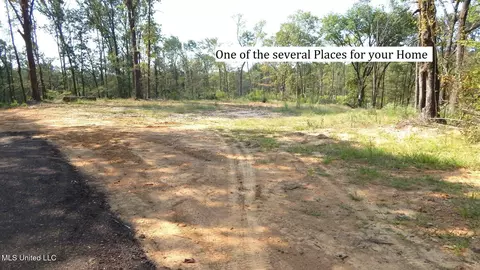 2380 213 Country Rd, Grenada, MS 38901