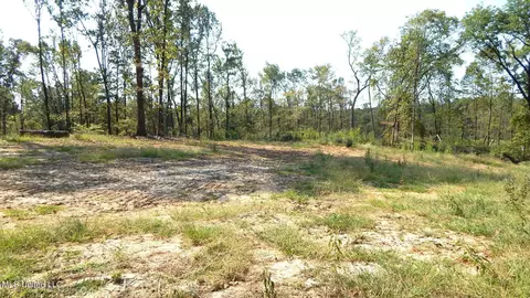 2380 213 Country Rd, Grenada, MS 38901 photo 7