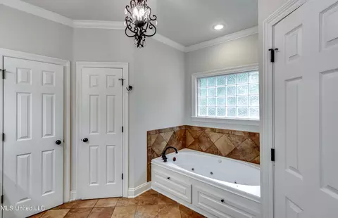 Bath - 113 Darrowsby Pl, Madison, MS 39110 photo 5 of 9