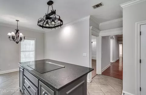 Entry Way - 113 Darrowsby Pl, Madison, MS 39110 photo 2 of 3