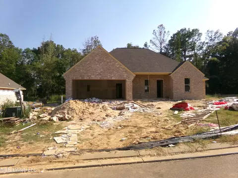 100 Jasmine Cove Dr, Brandon, MS 39042 photo 3