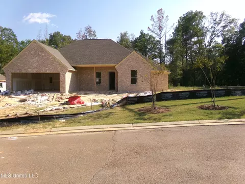 100 Jasmine Cove Dr, Brandon, MS 39042 photo 6