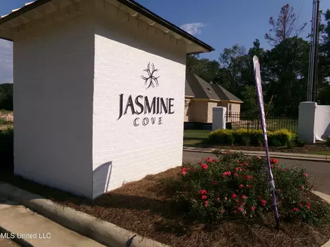 100 Jasmine Cove Dr, Brandon, MS 39042 photo 2