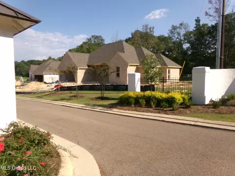 100 Jasmine Cove Dr, Brandon, MS 39042 photo 5