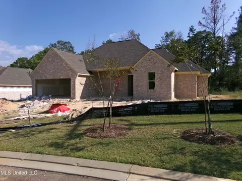 100 Jasmine Cove Dr, Brandon, MS 39042 photo 4