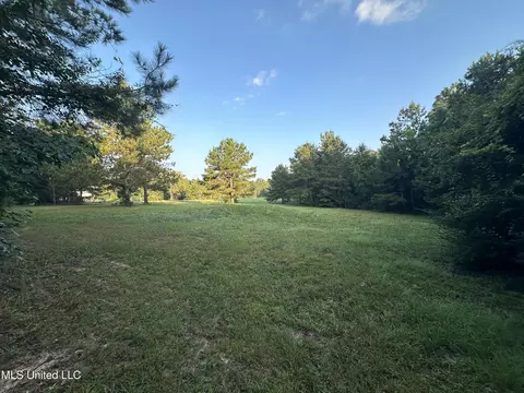 000 SE Mt Pleasant Ln, Bogue Chitto, MS 39629
