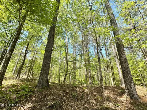 0 County Road 375, Carrollton, MS 38917