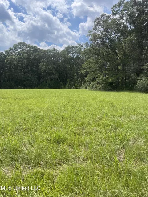 000 NE Bahalia Rd, Wesson, MS 39191 photo 13