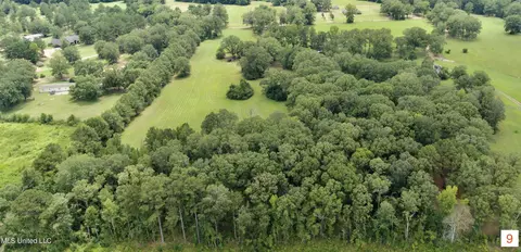 000 NE Bahalia Rd, Wesson, MS 39191 photo 24