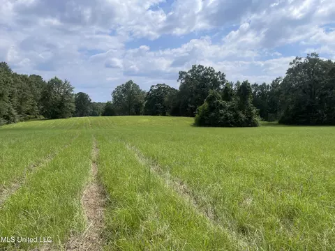 000 NE Bahalia Rd, Wesson, MS 39191 photo 12