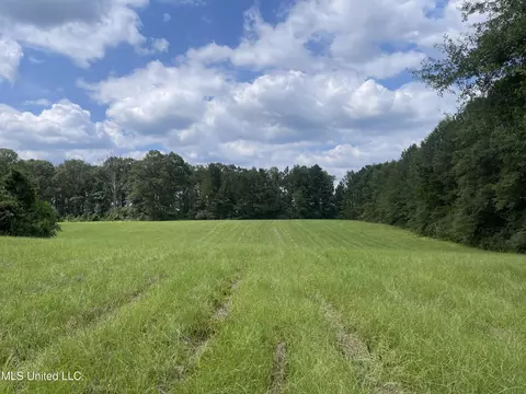 000 NE Bahalia Rd, Wesson, MS 39191 photo 10
