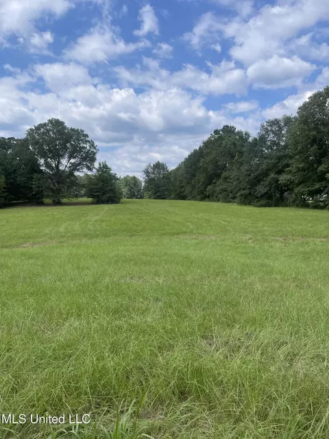 000 NE Bahalia Rd, Wesson, MS 39191 photo 8