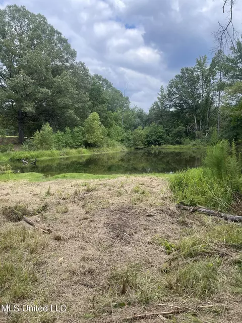 000 NE Bahalia Rd, Wesson, MS 39191 photo 4