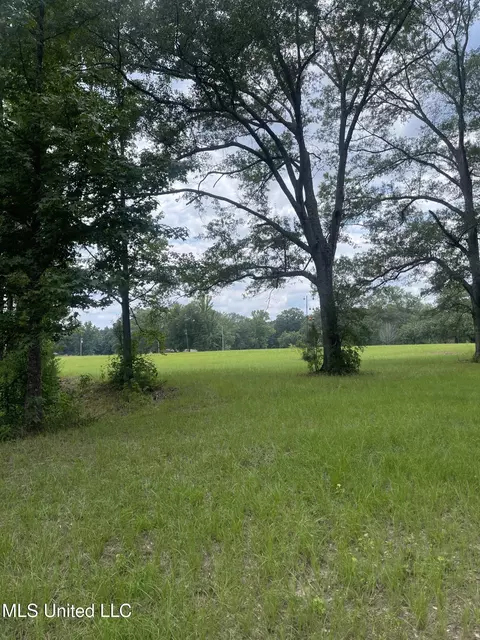 000 NE Bahalia Rd, Wesson, MS 39191 photo 6
