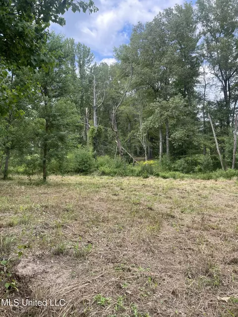 000 NE Bahalia Rd, Wesson, MS 39191 photo 5
