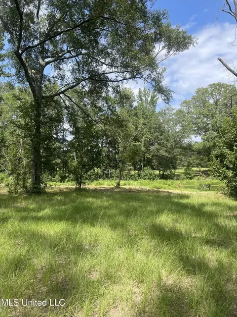 000 NE Bahalia Rd, Wesson, MS 39191 photo 16