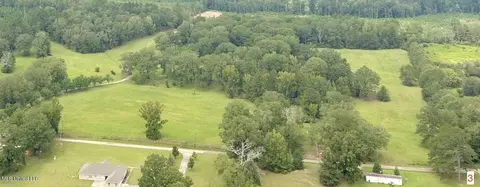 000 NE Bahalia Rd, Wesson, MS 39191 photo 19