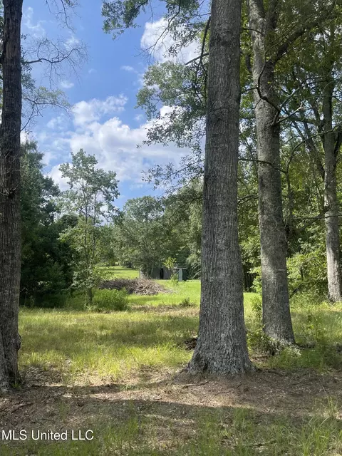 000 NE Bahalia Rd, Wesson, MS 39191 photo 17