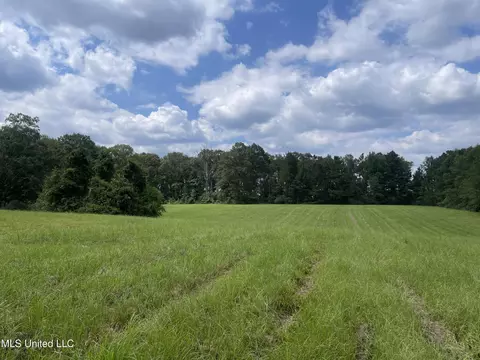 000 NE Bahalia Rd, Wesson, MS 39191 photo 11