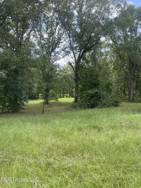 000 NE Bahalia Rd, Wesson, MS 39191 photo 14