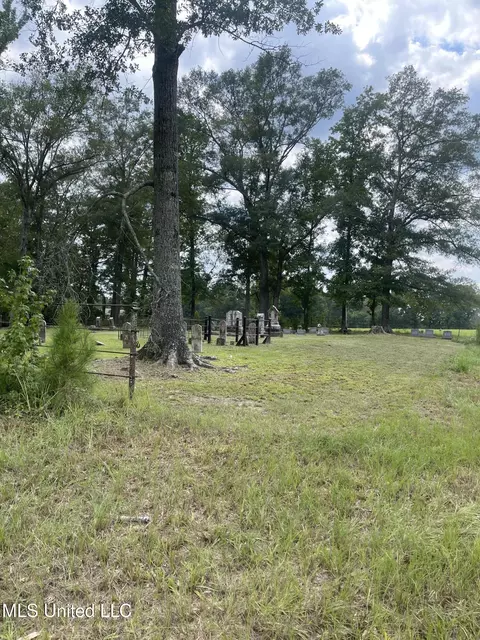 000 NE Bahalia Rd, Wesson, MS 39191 photo 7