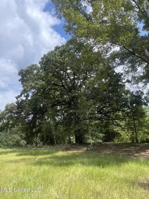 000 NE Bahalia Rd, Wesson, MS 39191 photo 15