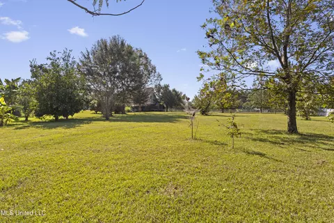 Exterior - 147 Blue Springs Rd, Lucedale, MS 39452 photo 22 of 26