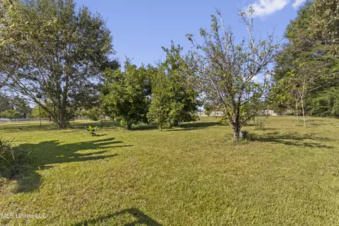 Exterior - 147 Blue Springs Rd, Lucedale, MS 39452 photo 21 of 26