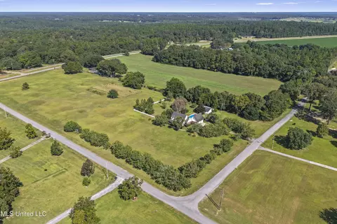 View/Area - 147 Blue Springs Rd, Lucedale, MS 39452 photo 7 of 11