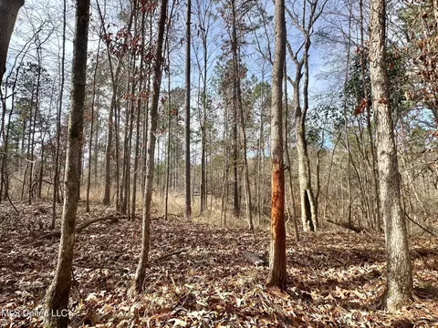 4 Dry Grove Rd, Terry, MS 39170 photo 7
