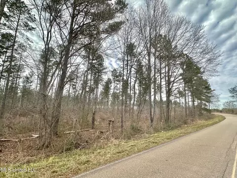 4 Dry Grove Rd, Terry, MS 39170 photo 13