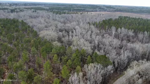 4 Dry Grove Rd, Terry, MS 39170 photo 10