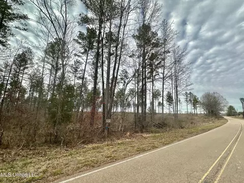 4 Dry Grove Rd, Terry, MS 39170 photo 12