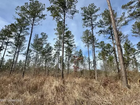 4 Dry Grove Rd, Terry, MS 39170