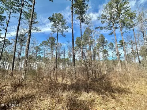 4 Dry Grove Rd, Terry, MS 39170 photo 8
