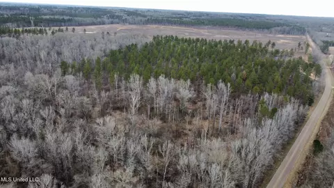 4 Dry Grove Rd, Terry, MS 39170 photo 11
