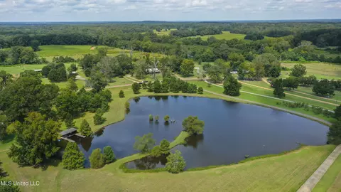 View/Area - 5550 Springridge Rd, Raymond, MS 39154 photo 10 of 10