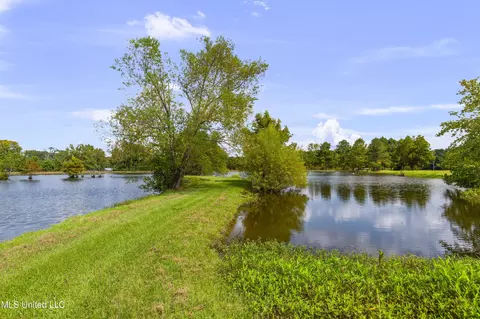 View/Area - 5550 Springridge Rd, Raymond, MS 39154 photo 1 of 10