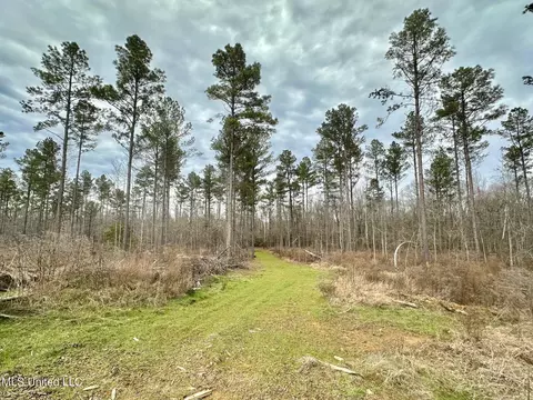 5 Dry Grove Rd, Terry, MS 39170 photo 15
