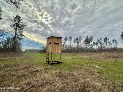 5 Dry Grove Rd, Terry, MS 39170 photo 20