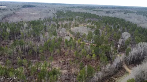 5 Dry Grove Rd, Terry, MS 39170 photo 35