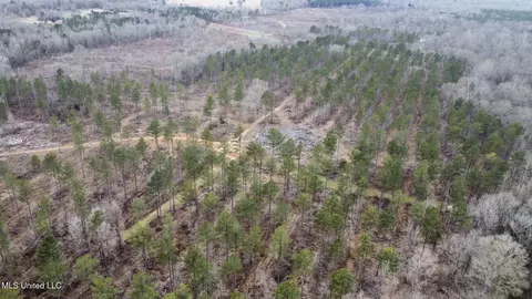 5 Dry Grove Rd, Terry, MS 39170 photo 37