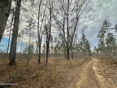 5 Dry Grove Rd, Terry, MS 39170 photo 16