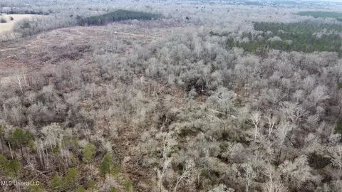 5 Dry Grove Rd, Terry, MS 39170 photo 39