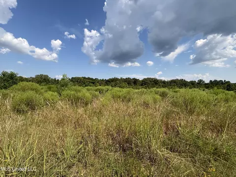 Hilda Drive, Jackson, MS 39213 photo 10