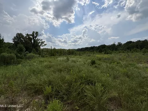 Hilda Drive, Jackson, MS 39213 photo 5